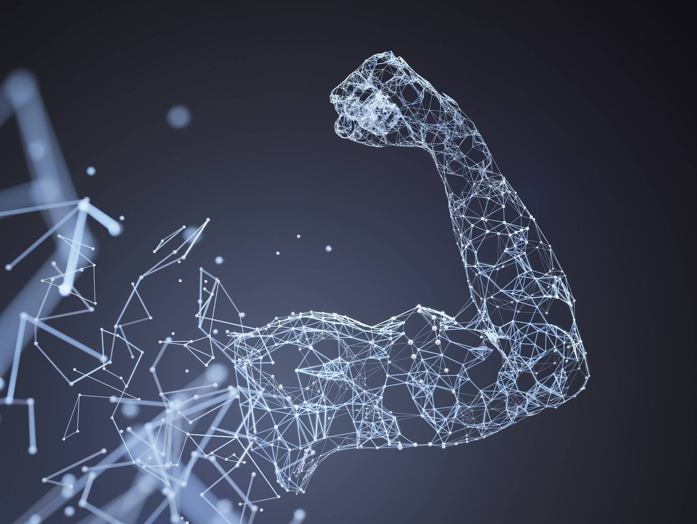 中美互联网的“统治级捕食者生态”