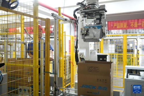 决胜十四五 打好收官战 一家民营企业的中国智造科技之路